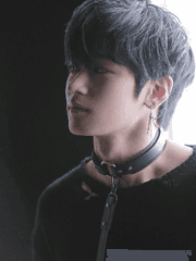 나만의 검은 고양이