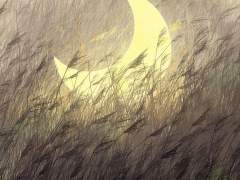 [정멋커 3기 프로필]