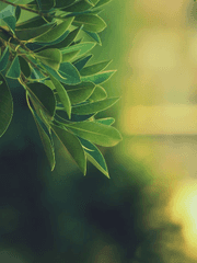 wrwrd/와레와레다