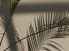 [국민] 세기의 사랑은 언제나 아프다 2