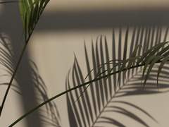 [국민] 세기의 사랑은 언제나 아프다 1