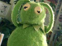 나스, 래빗, 코드 tmi