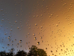 그날의 커피 中-2