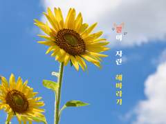 새로운 보금자리