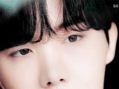 [HV] Jardin des Jaguars 5