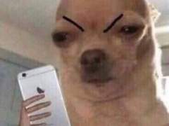 63kg에서 36kg된 썰