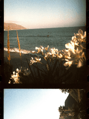 안식일의 유령들