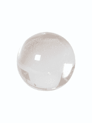 미야 분양합니다