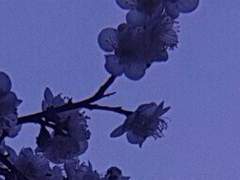 I’m here to help you!