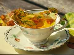 네가 여기서 더 잃을 게 있어?