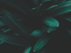 어비스의 저주는 언제나 조심할 것.