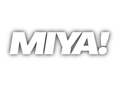 🦊HAPPY MIYA TWINS DAY🦊