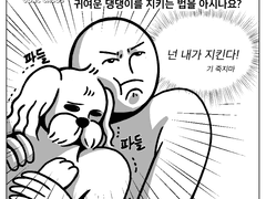 강아지를 지키자