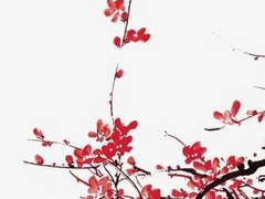 [장일소, 윤종] [논컾] 금붕어