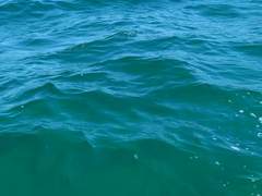 내가 본 바다 중 가장 아름다운 바다