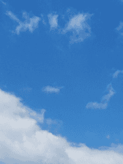 나의 백수생활 유람기