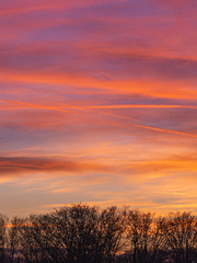 범과 늑대의 시간