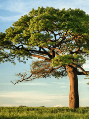 [트친페스 연성] 찬덕X옥