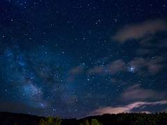 날개를 건들면 물립니다.