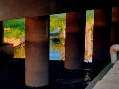 모순 가득 안고 살아가기