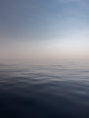 소설을 위한 심리학 공부