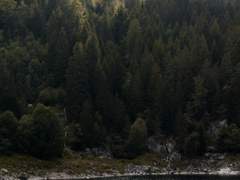 2021. 10. 06 [Song of the Nightingale]