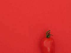 퇴마퇴마토마토