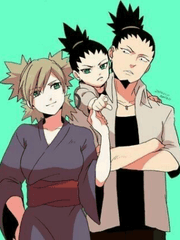 나라 家 이야기