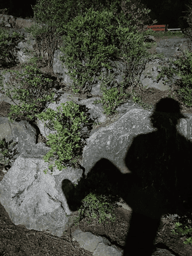 봄 여름 가을 겨울