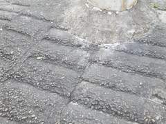 일상, 여행 사진