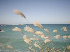 바다같은 사람이 되고 싶다.