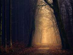 고요한 침묵만이 안식이니