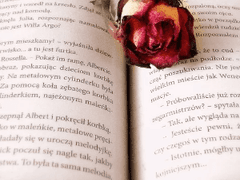 SAMPLE 1.이상한 나라의 앨리스