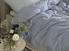 [히나른]하숙집에 어서오세요! 2