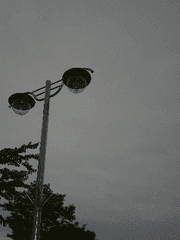 [善惡夢傳]_선악몽전