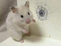 아... 여러분 지금 눈물 좔좔임