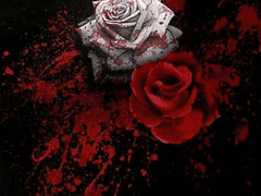 모략의 실루엣 01