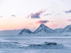 망명자는 모국어 꿈을 꾸는가 下