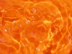 전닥터 썰 백업