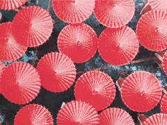 [휴가하루/마키하루] 세상살이를 경험해보자