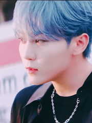 [세븐틴] 규부 : 그림 백업