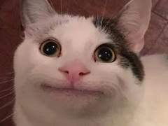 멕시칸 음식에 대한 단상