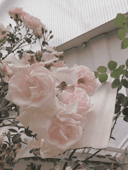 𝖊𝖚𝖓𝖔𝖎𝖆