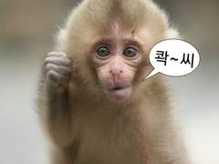 우난숭이 (연성글)