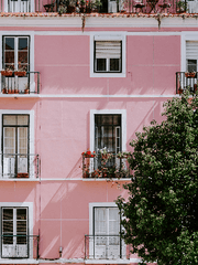 분대장 엘빈 스미스의 열흘