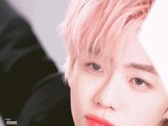 핑크왕자와 핑크공주