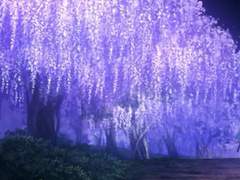 [귀멸드림] 마주한 그곳에서, 시간의 호흡