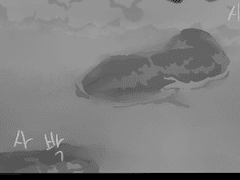 1화. 밤바다와 그