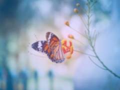 네 생을 가져가더라도 그대로 있을 것만 같아서.