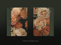 [분양가능] 29. 네 처음을 나에게 줘.